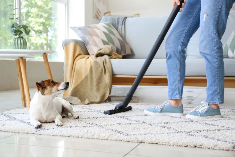Deep Cleaning Tips for a Sparkling Home in Renton, WA